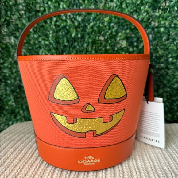 Coach Orange Pumpkin Bucket Bag - Picture 1 of 6